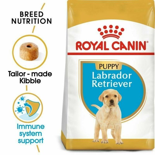 Royal canin labrador - royal, retriever