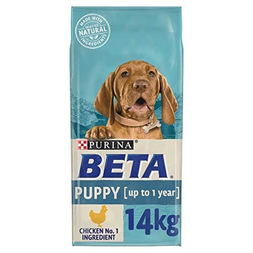 Beta puppy dry dog - beta, food