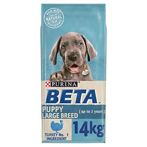 Beta puppy large breed - beta,