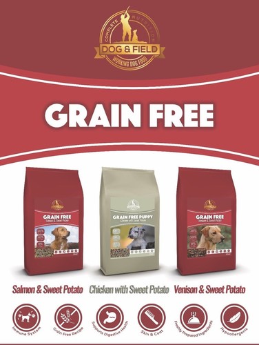 New dog field grain - field, free