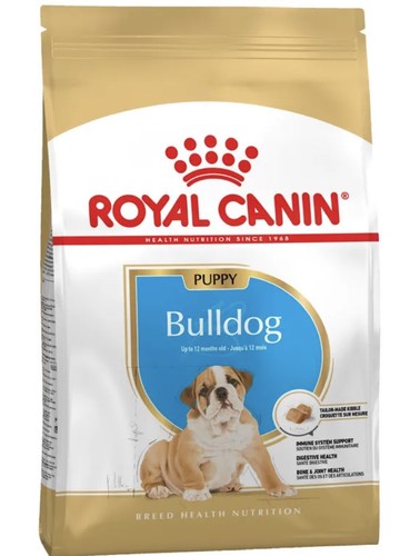 Royal canin bulldog - bulldog, puppy