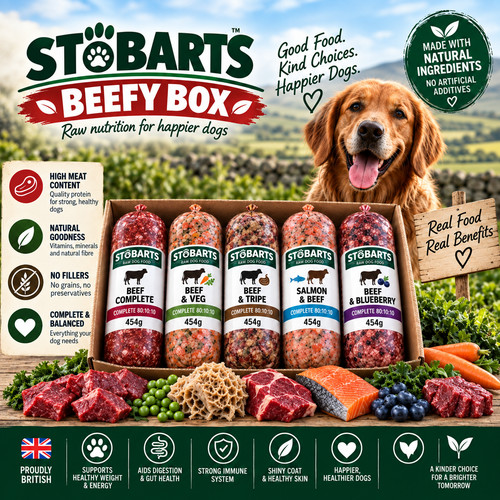 Stobarts beefy box - stobarts, frozen