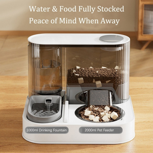 Automatic cat feeder - in, 1